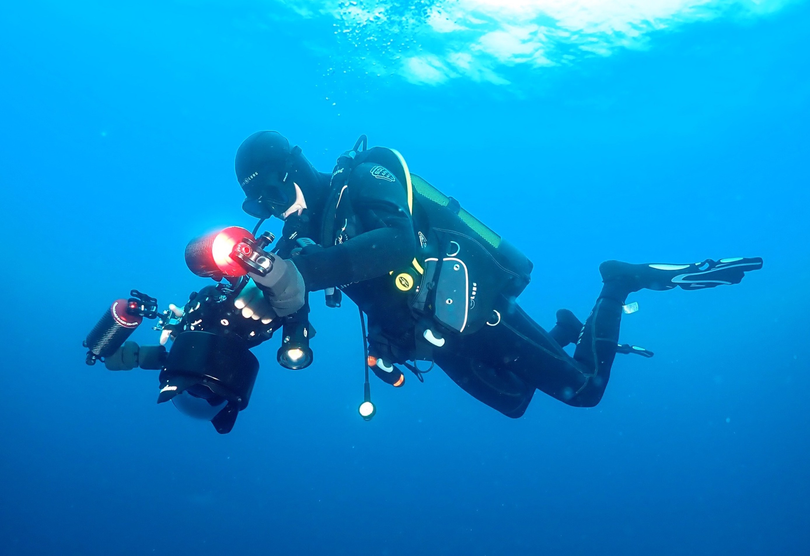 artist profile image