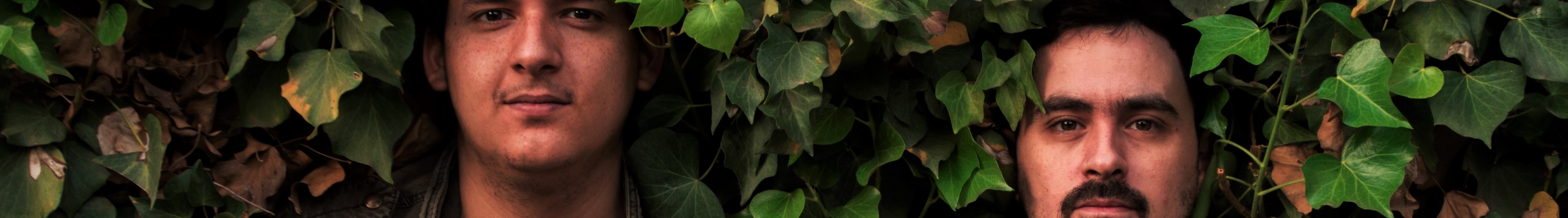 artist cover image