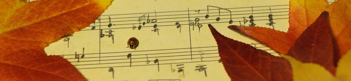artist cover image