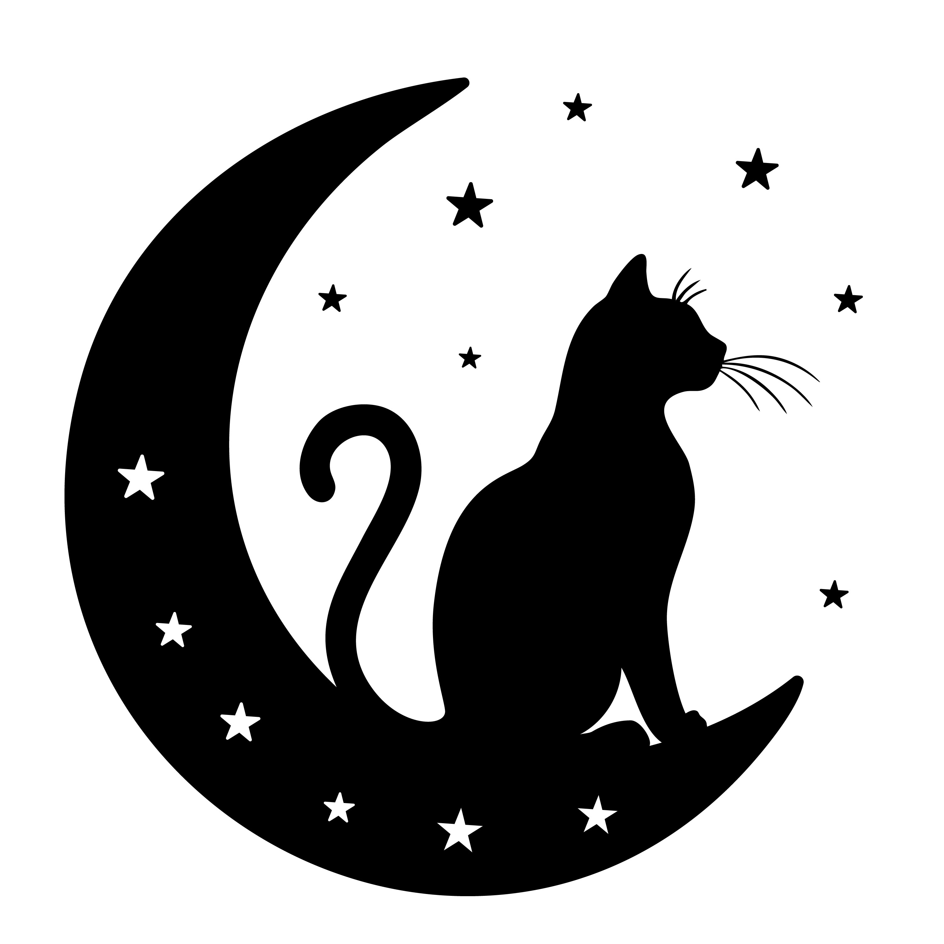 artist profile image