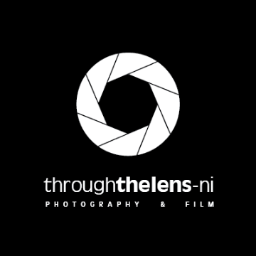 artist profile image