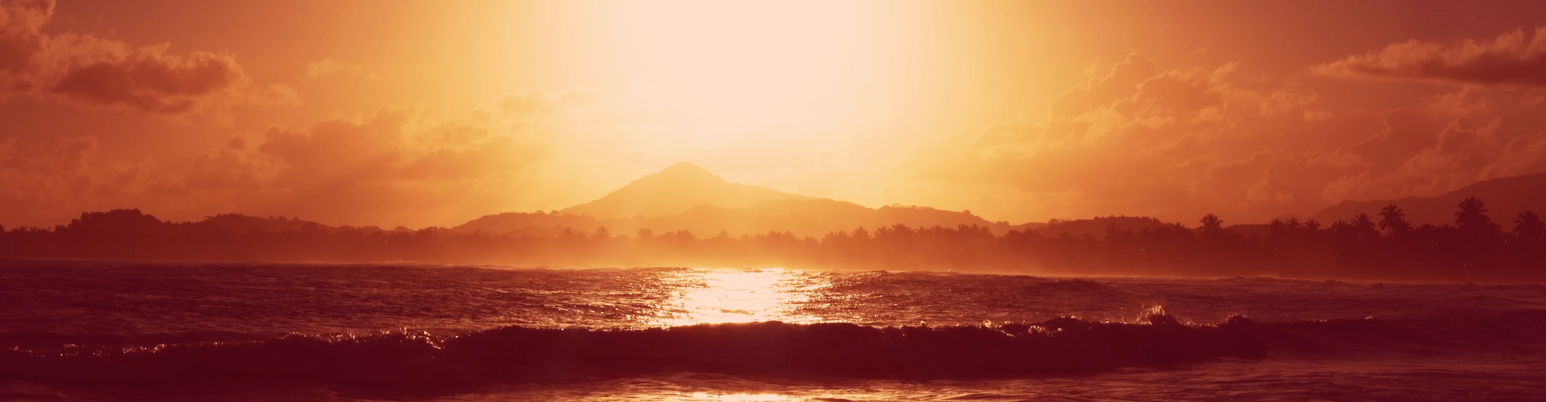 artist cover image