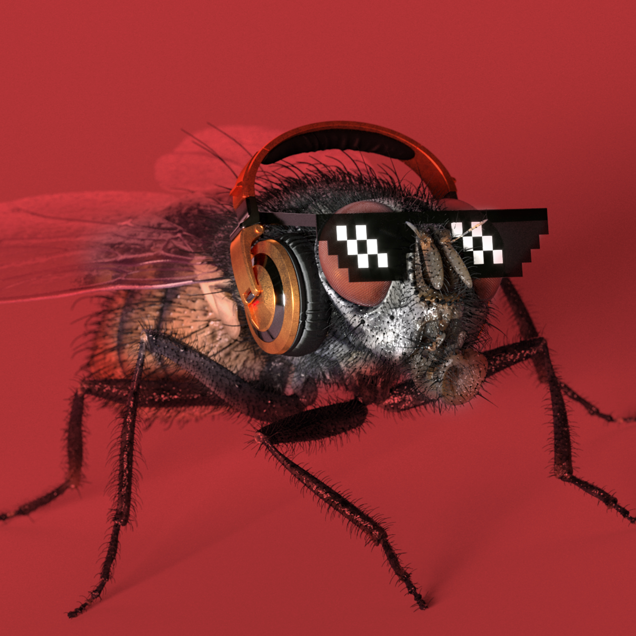 Animan Motion Array animan-motion-array