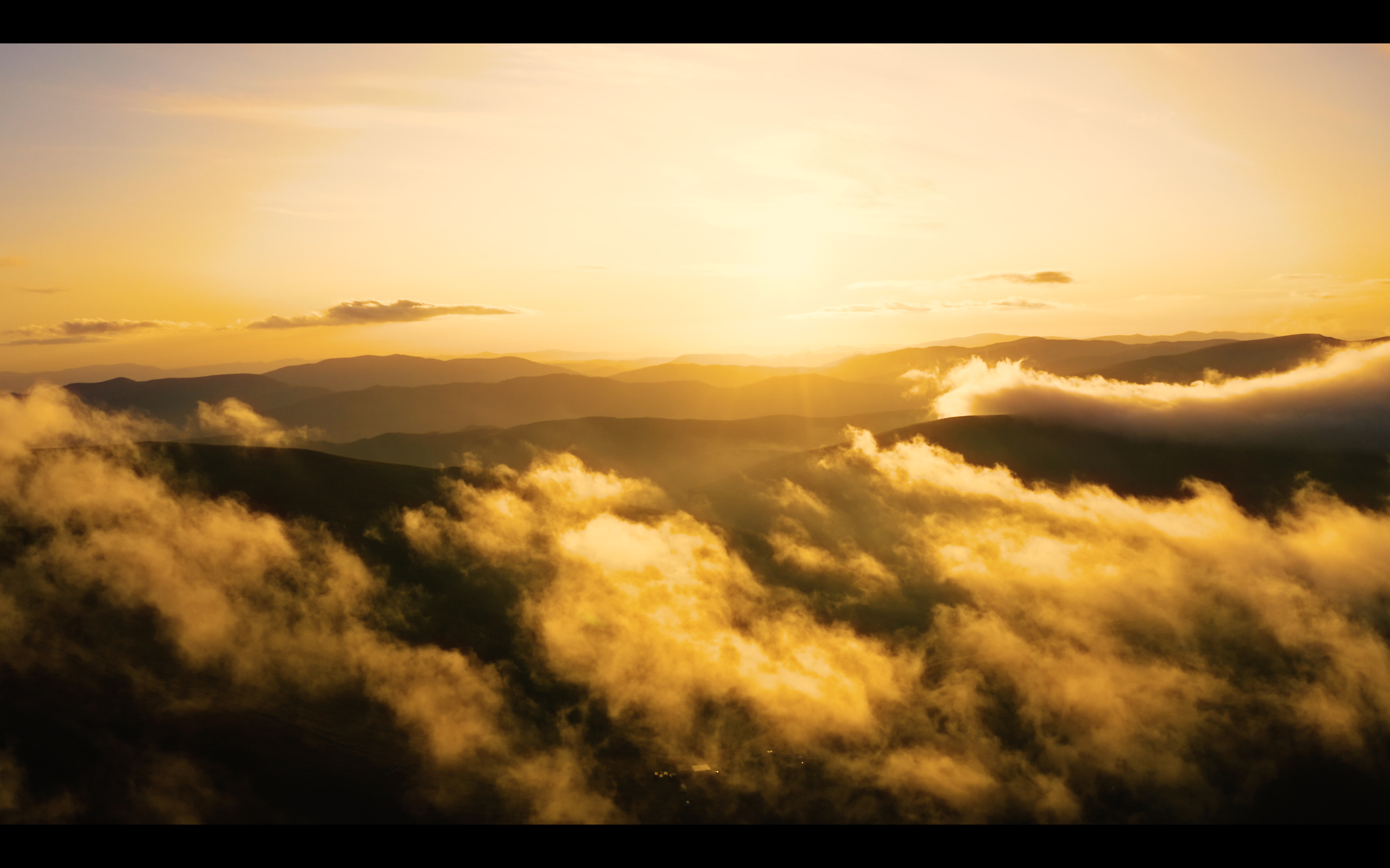 artist cover image
