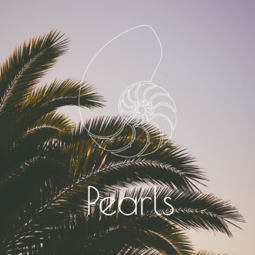 artist profile image
