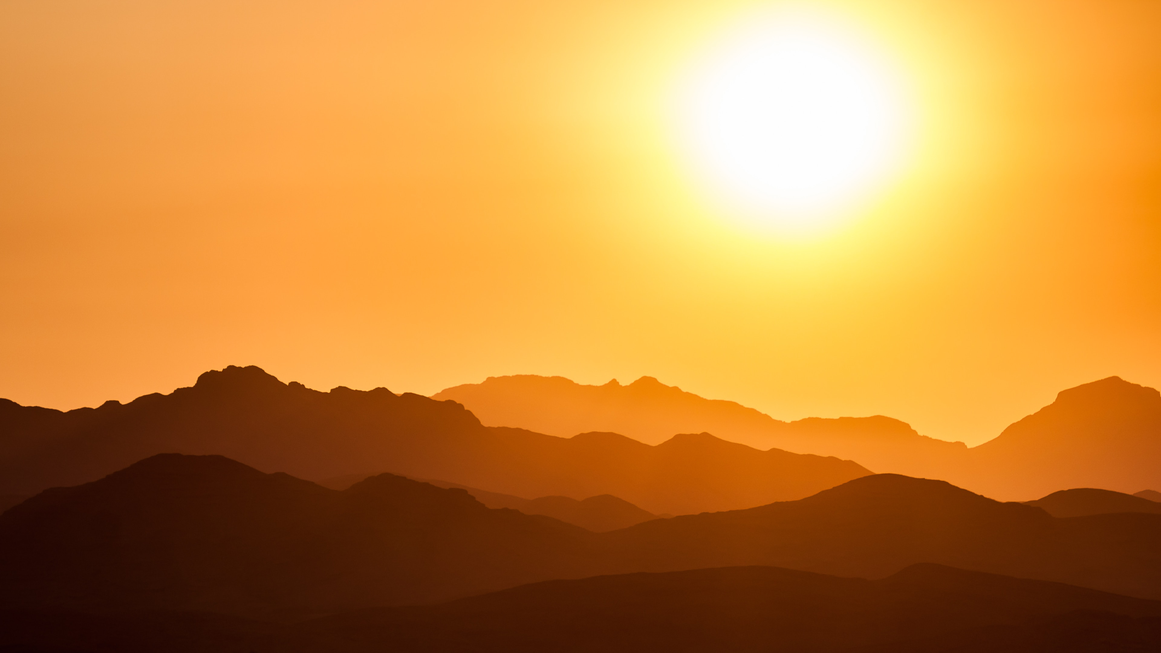 artist cover image