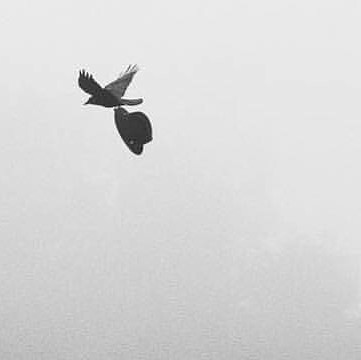 artist profile image