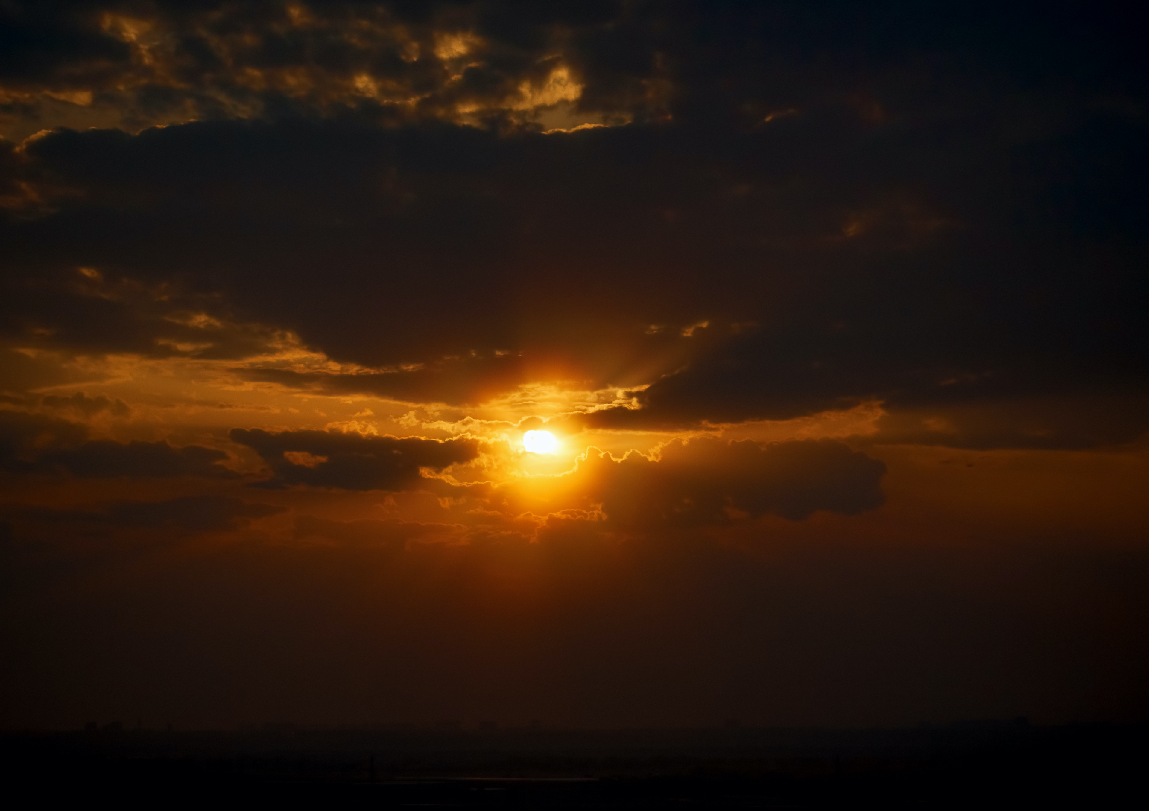 artist cover image