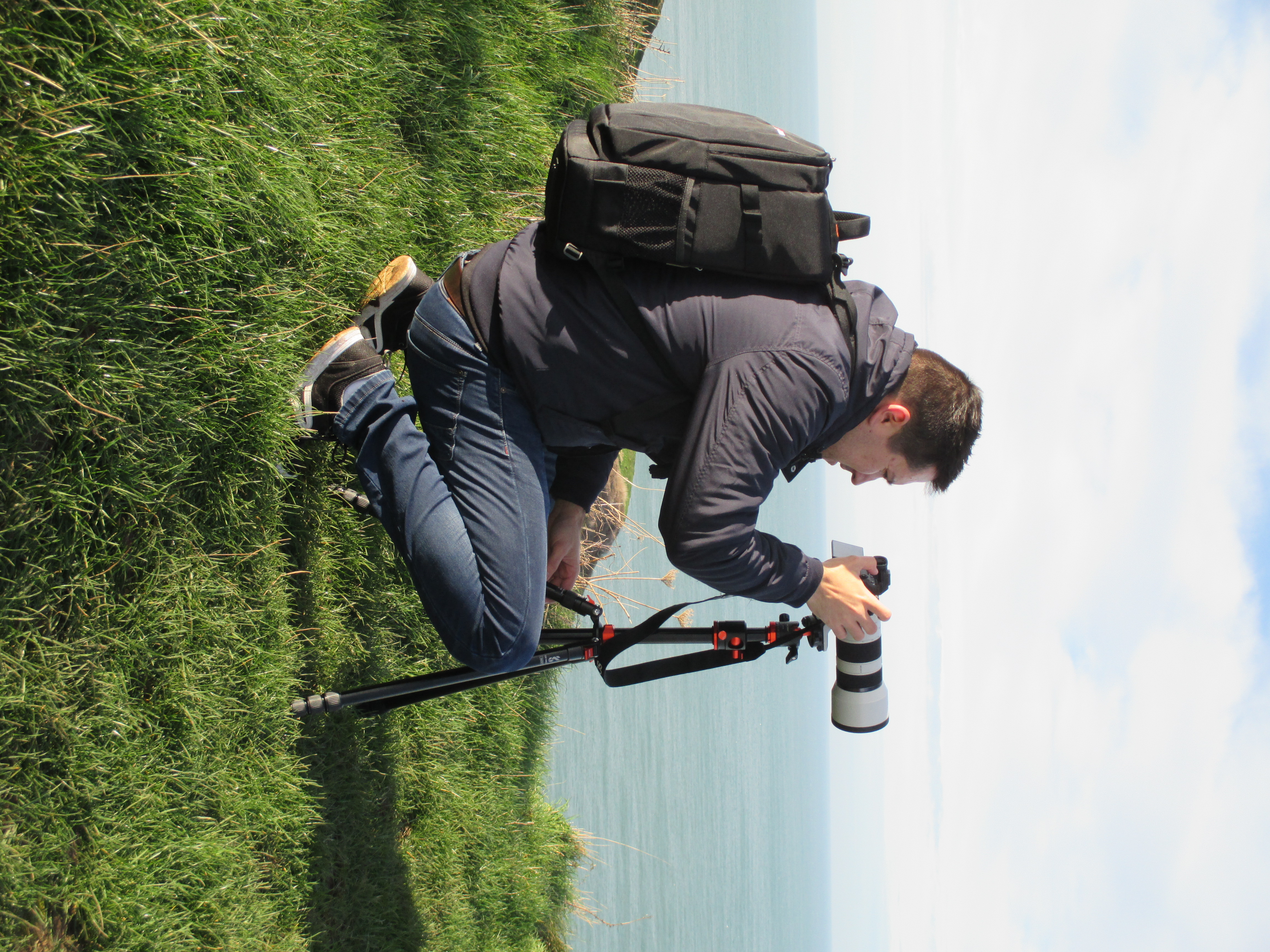 artist profile image