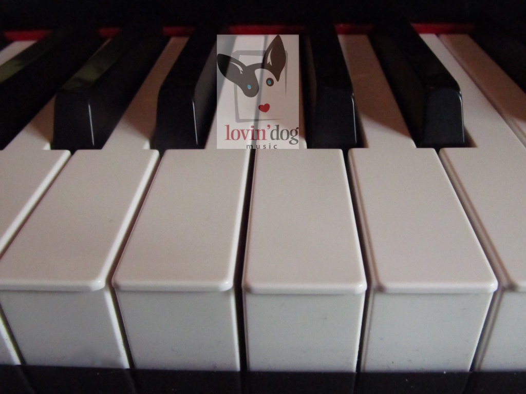 artist cover image
