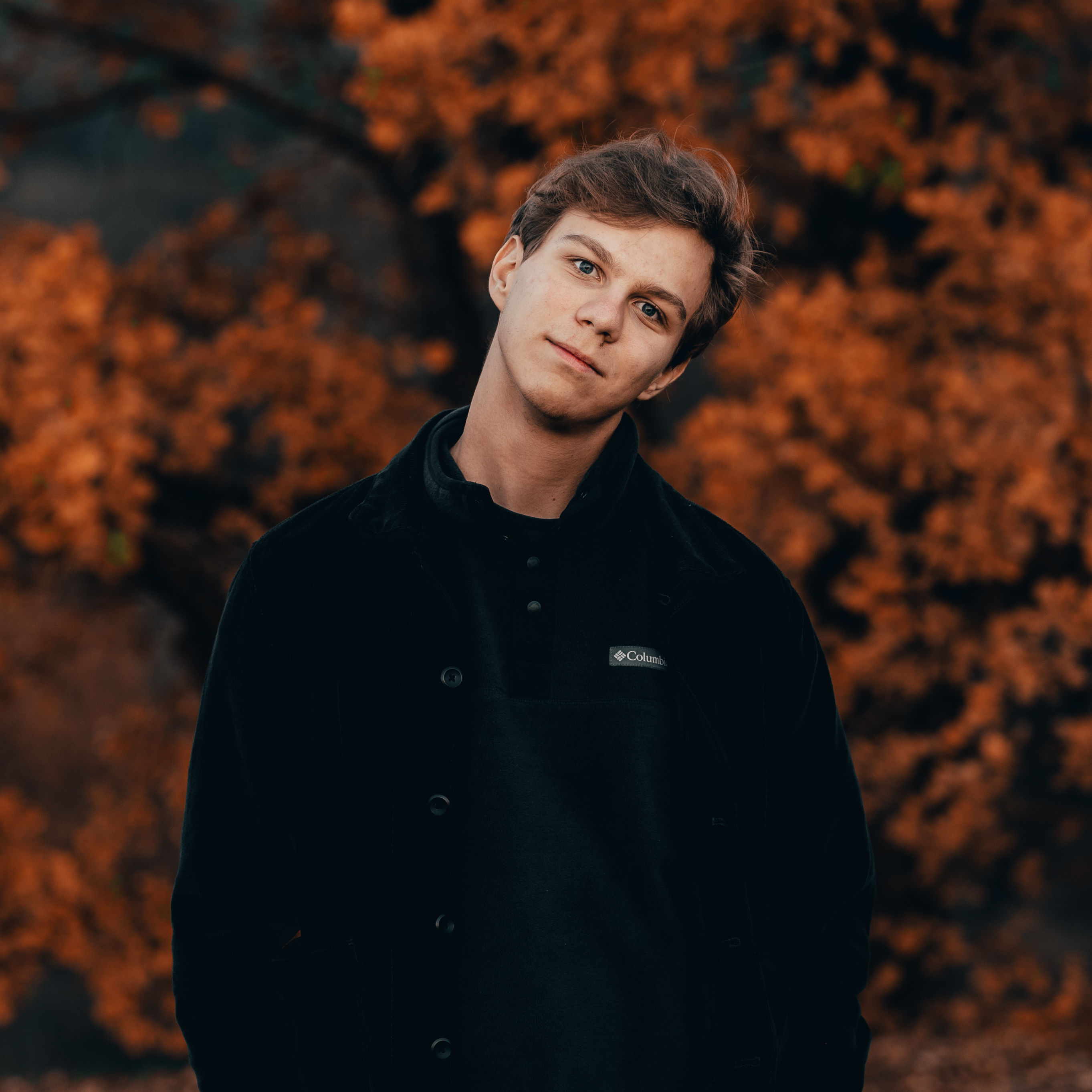 artist profile image