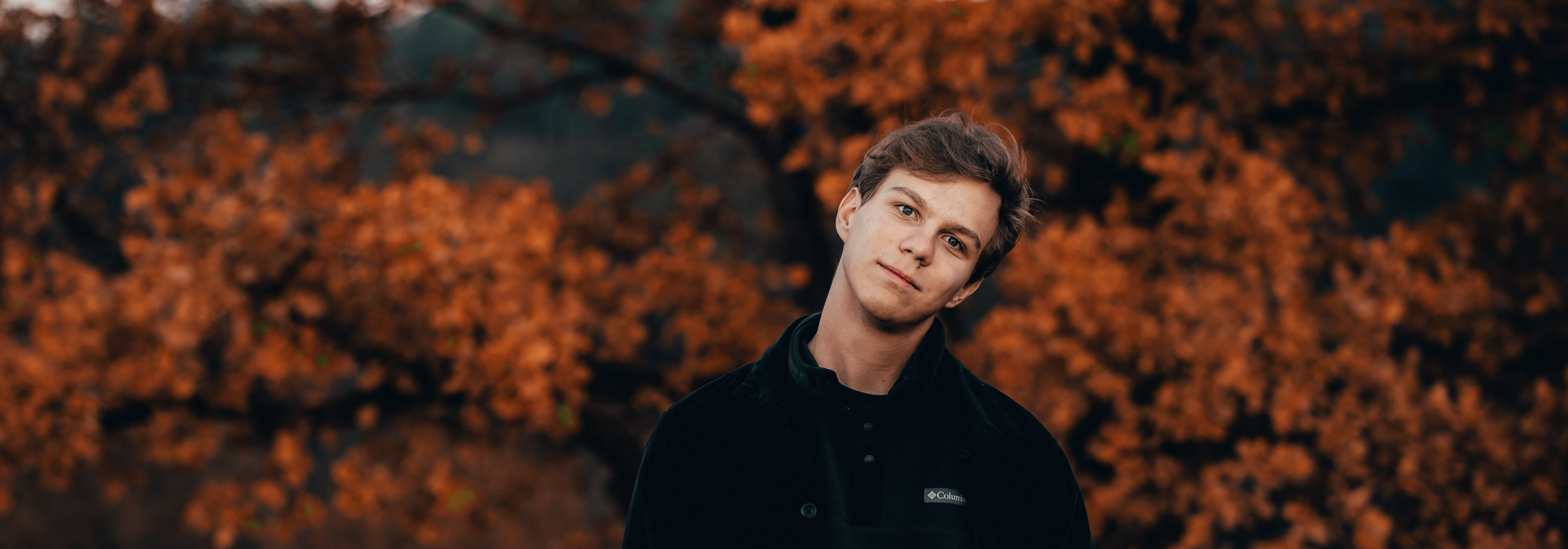 artist cover image