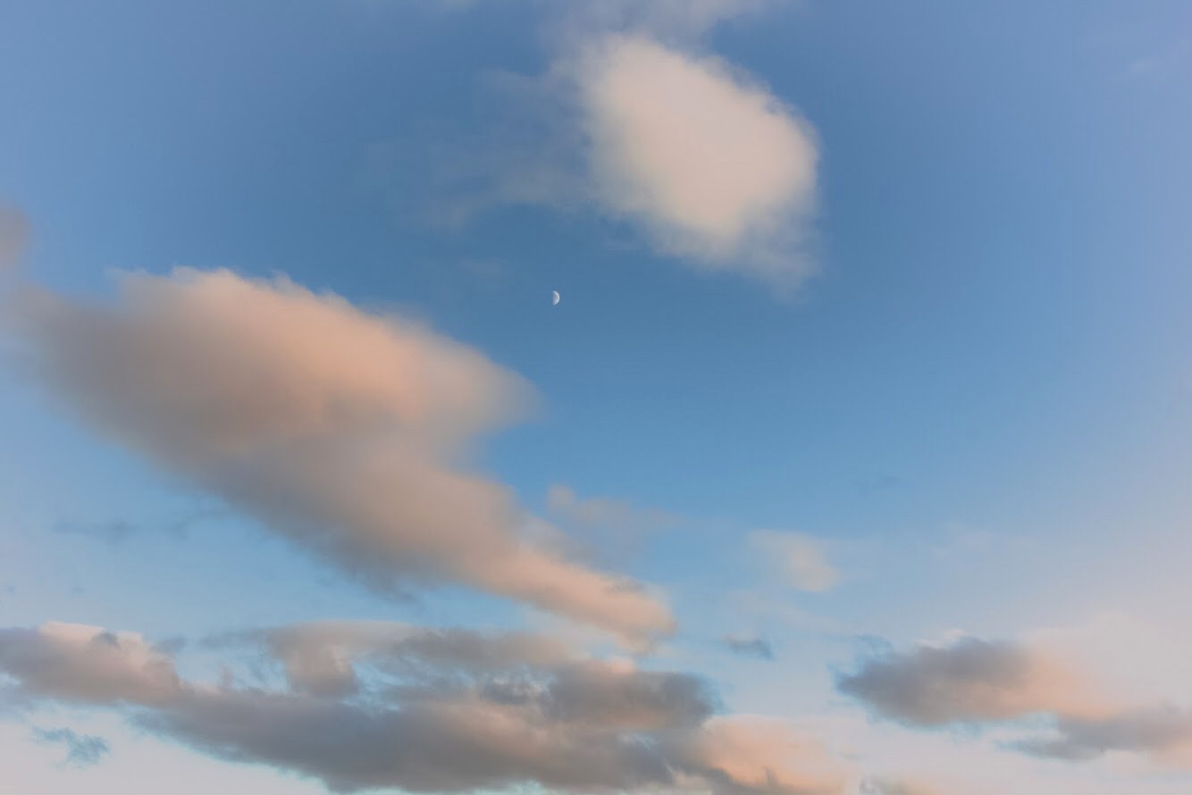 artist cover image