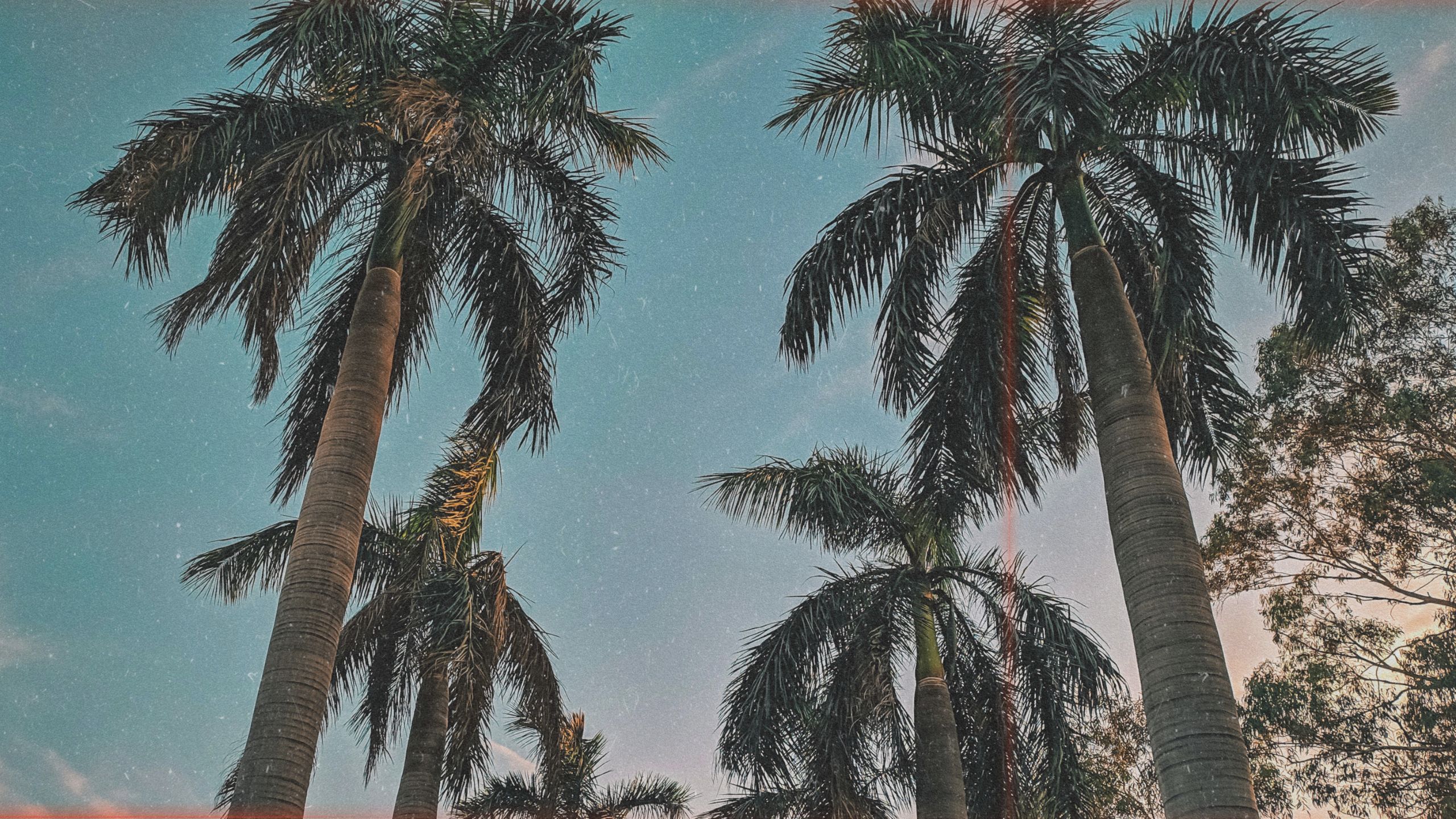 artist cover image