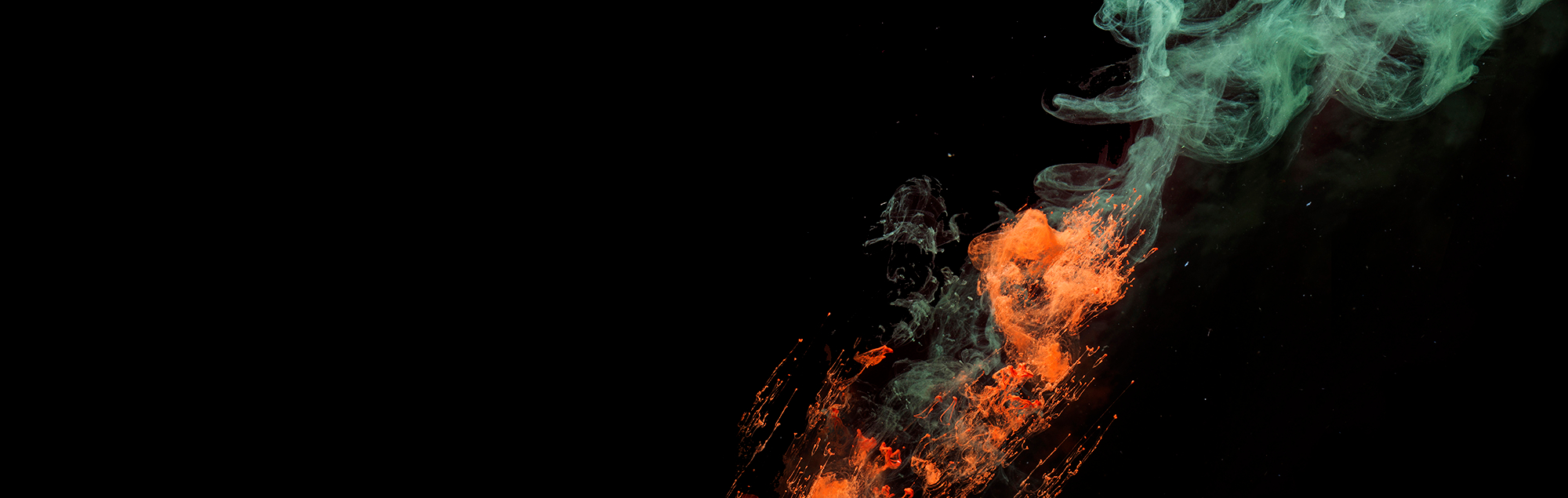 artist cover image