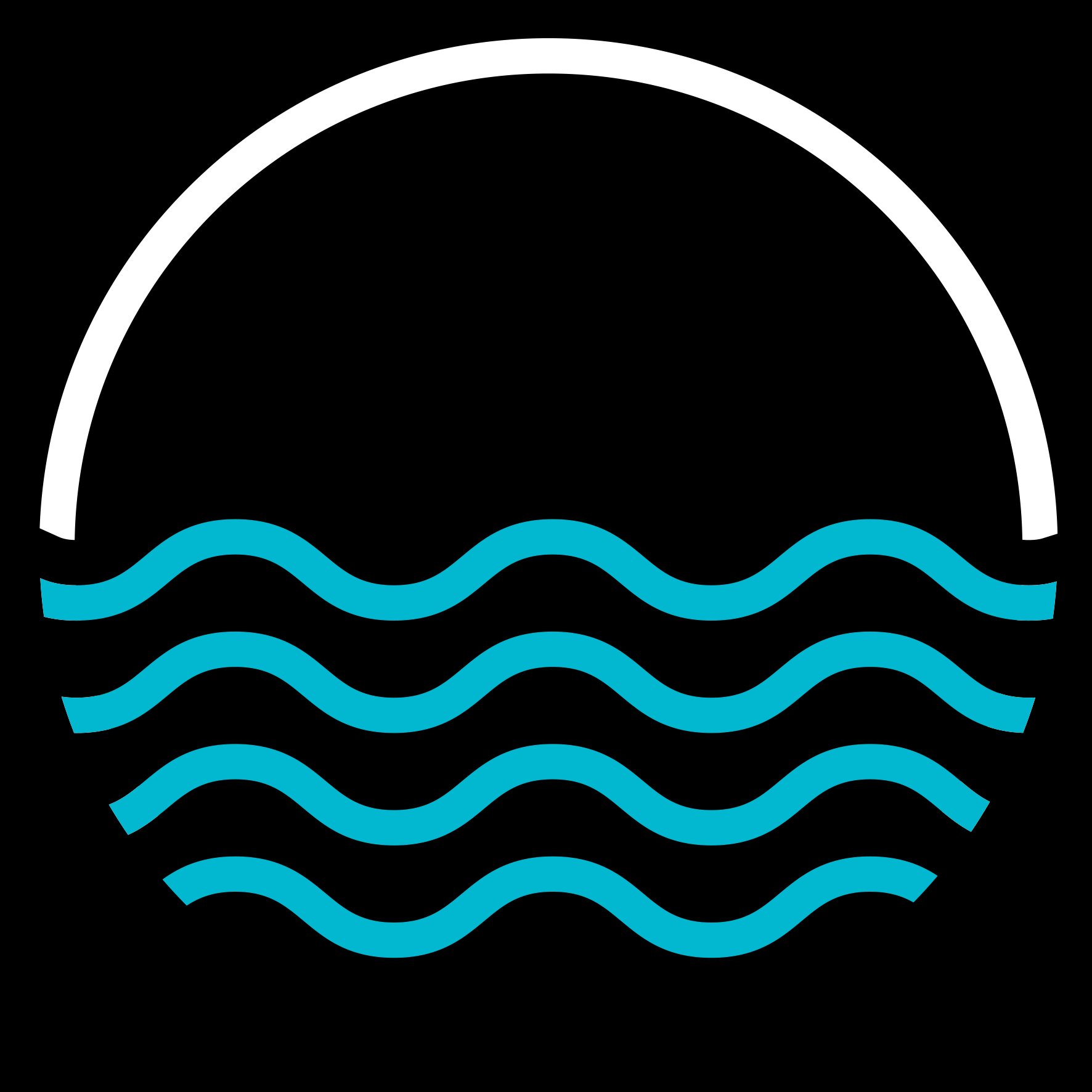 artist profile image