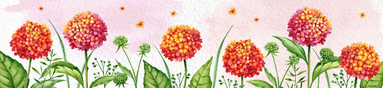 artist cover image
