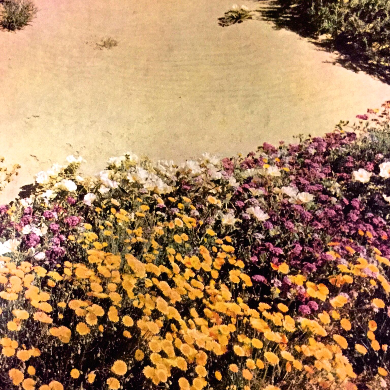 artist cover image
