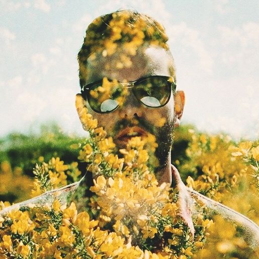 artist profile image