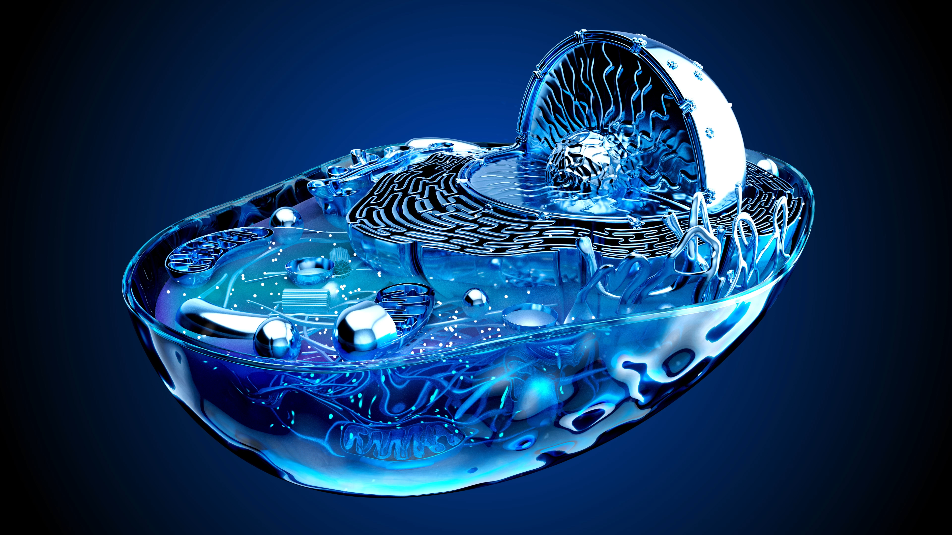 artist cover image